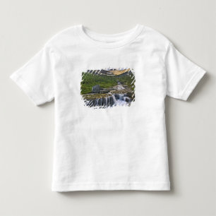 Forsande vattendrag, Glacier National Park, Tee