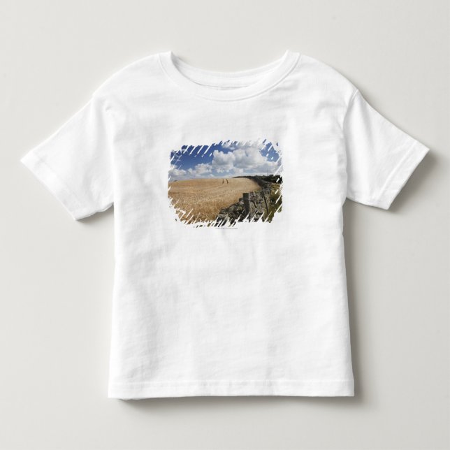 Förse med en hulling - binda staket byggde Along Tee Shirt (Framsida)
