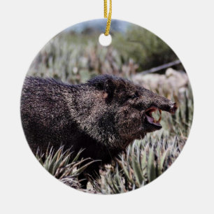 Försedd med krage peccary (javelina) som gäspar julgransprydnad keramik