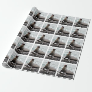 Försegla beställnings- bakgrundsfärg presentpapper