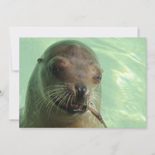 Försegla med fiskinbjudan inbjudningar (Framsida)