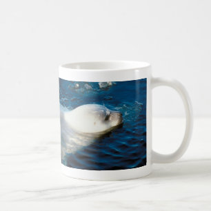 Försegla simning kaffemugg