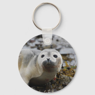 Försegla valpen Keychain Nyckelring