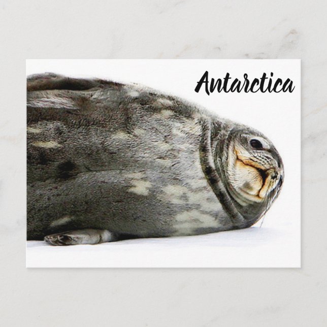 "Förseglat med kyss" Vykort (Framsida)