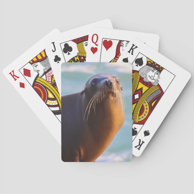 Försegling 1 - Vad du tittar på! Casinokort (Baksidan)