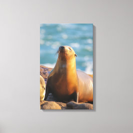 Försegling 3 - Jag ser inte att du tittar! Canvastryck