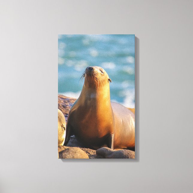 Försegling 3 - Jag ser inte att du tittar! Canvastryck (Framsida)