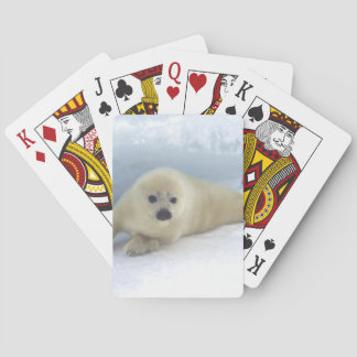 Förseglingens Valp Spel Kort