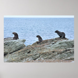 Förseglingens Valp Trio Poster