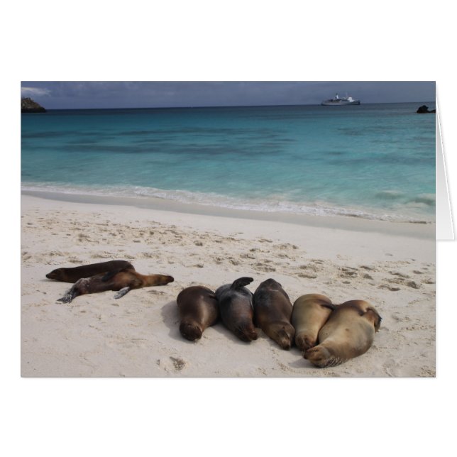 Förseglingskort Hälsningskort (Framsidan Horizontal)