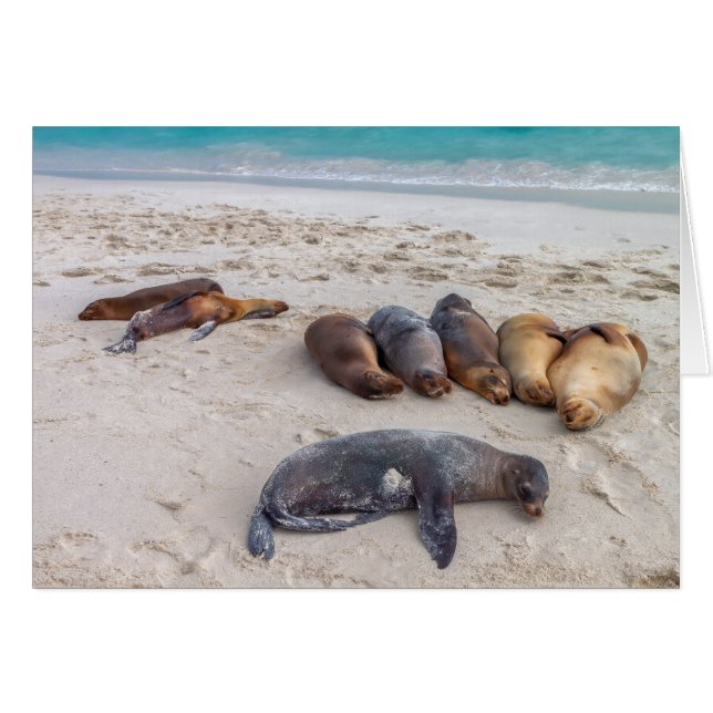 Förseglingskort Hälsningskort (Framsidan Horizontal)