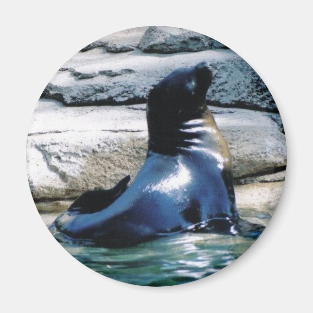 förseglingsmagnet magnet (Framsidan)