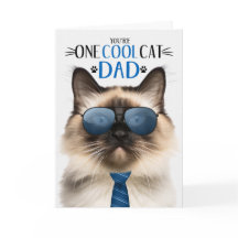 Förseglingspunkt Balinesisk katt Fars dag 1 Coola 