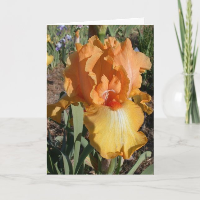 Försenat födelsedagkort - minne kort (Framsida)