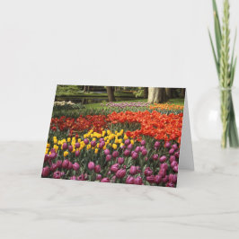 Försenat födelsedagsönskan Keukenhof-trädgården Kort