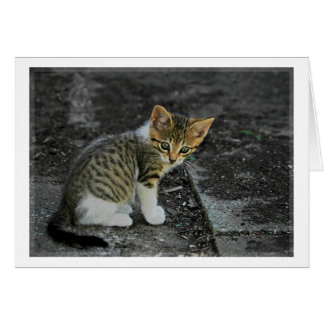 Försiktighet Hälsningskort