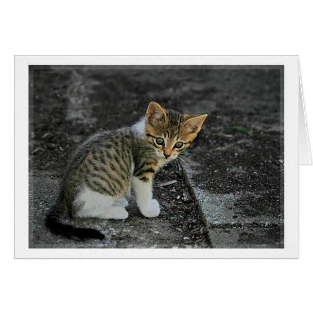 Försiktighet Hälsningskort (Framsidan Horizontal)