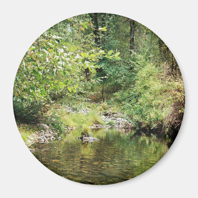 Försiktighet i skogen.... magnet (Framsidan)