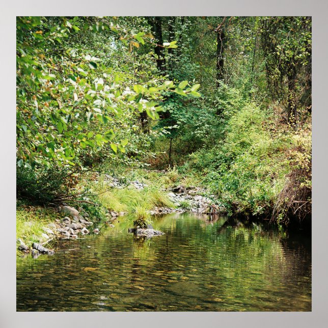 Försiktighet i skogen.... poster (Framsidan)