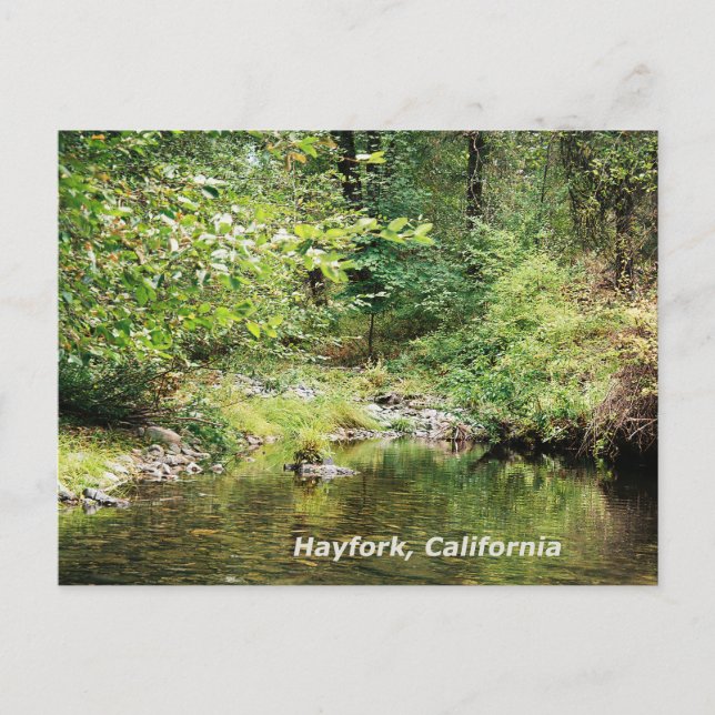 Försiktighet i skogen..... vykort (Framsida)