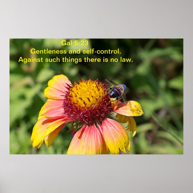 Försiktighet och självkontroll poster (Framsidan)