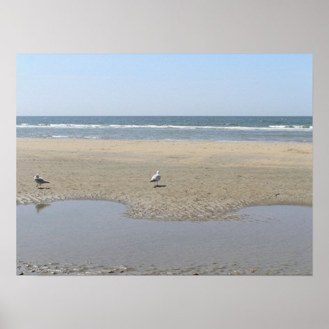 Försiktighet Poster (Framsidan)