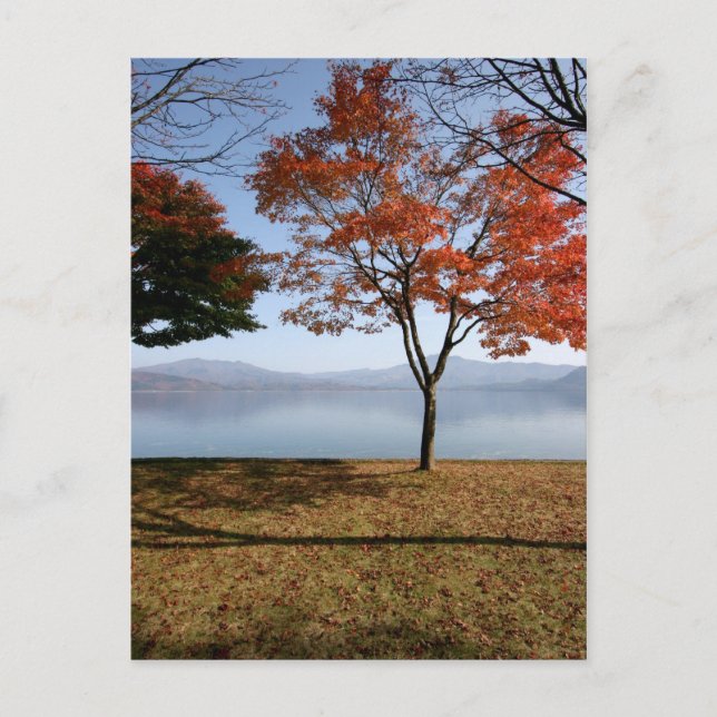 Försiktighet Vykort (Framsida)