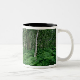 Försilvra björkträd och ferns, den Sherwood sko Två-Tonad Mugg