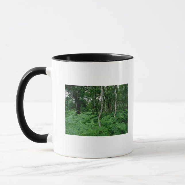 Försilvra björkträd och ferns, den Sherwood skogen Mugg (Vänster)
