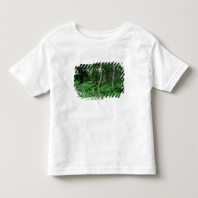Försilvra björkträd och ferns, den Sherwood skogen T-shirt (Framsida)