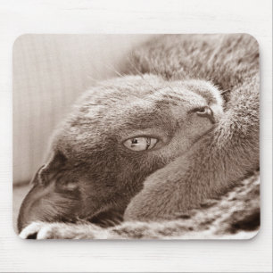 Försilvra katten Mousepad Musmatta