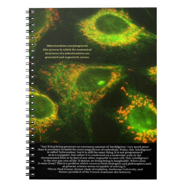 Forskare säger ... Grasse Quote och Mitochondria Anteckningsbok (Framsidan)