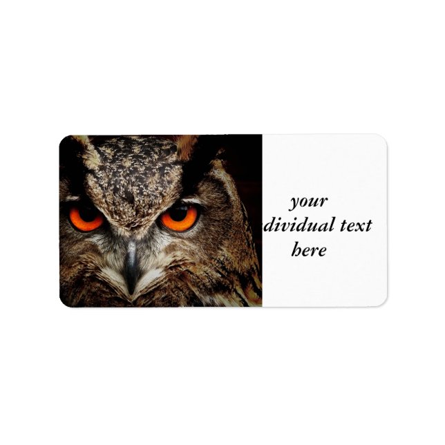 forskare tittar uggla adressetikett (Framsidan)