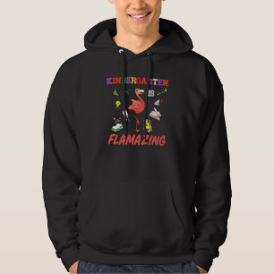Förskolan är flammande flamingo rosa fågel tillbak hoodie