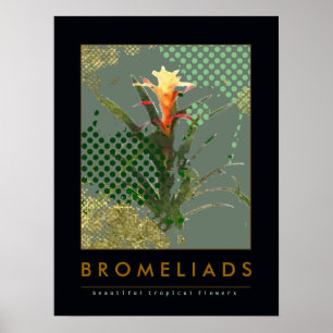 förslag om bromeliads konsthandling poster
