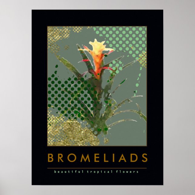förslag om bromeliads konsthandling poster (Framsidan)