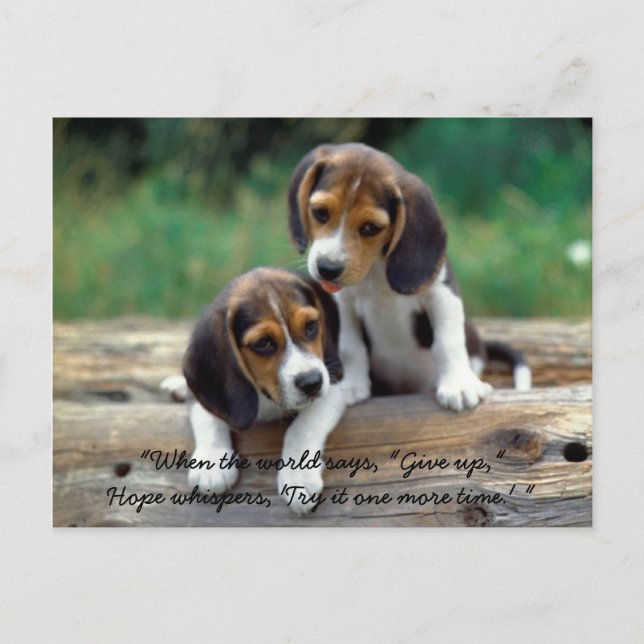 Försök det en mer tid… vykort (Framsida)