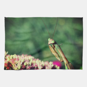 Försöka Mantis Up Close Kökshandduk