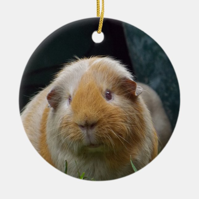 Försökskanin Julgransprydnad Keramik (Framsidan)