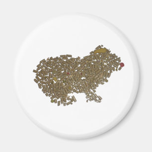 Försökskanin Magnet