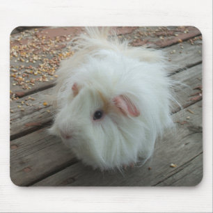 Försökskanin Mousepad Musmatta