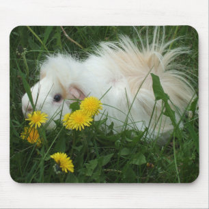 Försökskanin Mousepad Musmatta