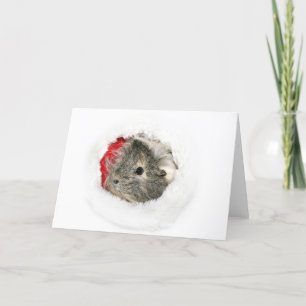 Försökskanin Santa Helgkort