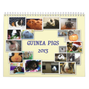 Försökskaninar 2013 kalender