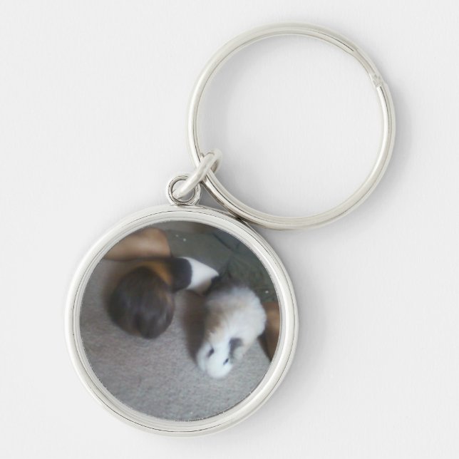 Försökskaninar Keychain Rund Silverfärgad Nyckelring (Framsidan)