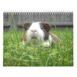 Försökskanincalander Kalender