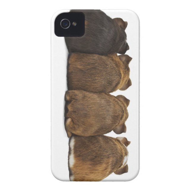 Försökskaninen knuffar fodral Iphone4 Case-Mate iPhone Skal (Baksidan)