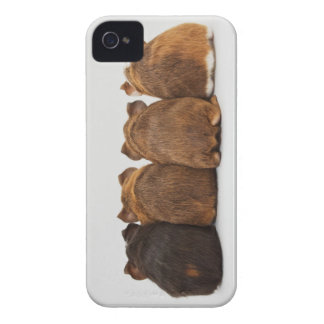 Försökskaninen knuffar fodral Iphone4 Case-Mate iPhone 4 Skydd