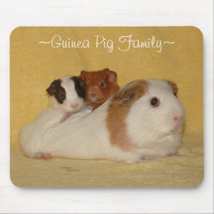 Försökskaninfamilj Mousepad Musmatta