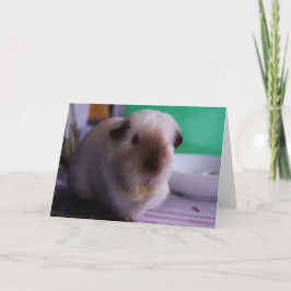 Försökskaninhälsningkort Kort